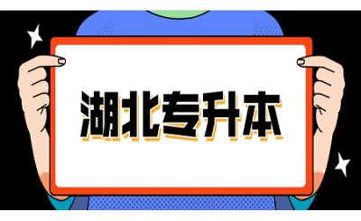 湖北省网络教育学校录取有学籍吗？