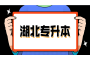 湖北省网络教育学校录取有学籍吗？