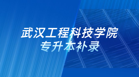 2022年武汉工程科技学院专升本补录工作公告
