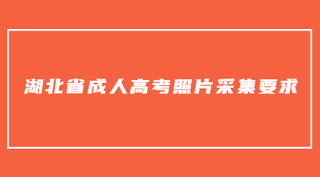 湖北省成人高考照片采集要求.jpg