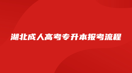 2022年湖北成人高考专升本报考流程