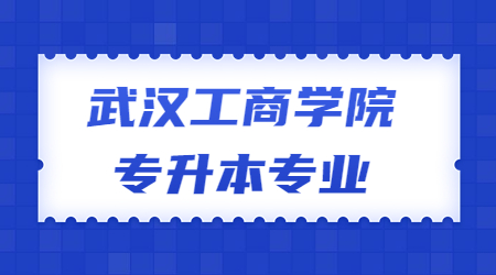 武汉工商学院专升本专业.jpg