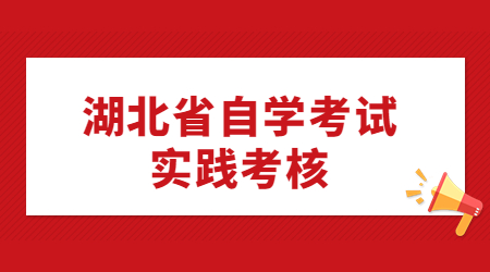 2023年湖北省高等教育自学考试部分主考学校面向社会开考专业实践性环节考核安排