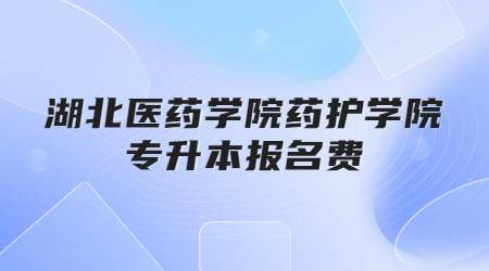 湖北医药学院药护学院专升本报名费