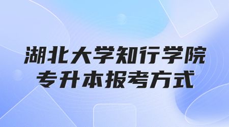湖北大学知行学院专升本报考方式