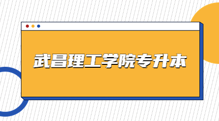 2023年武昌理工学院专升本报考资料审核上传入口