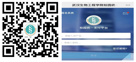 2023年武汉生物工程学院关于普通专升本缴费的通知