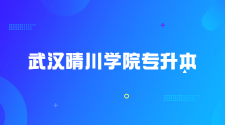 2023年武汉晴川学院专升本报名人数及录取率
