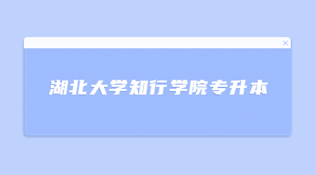 2023年湖北大学知行学院专升本报名人数及录取率