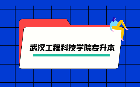 2023年武汉工程科技学院专升本报名人数及录取率