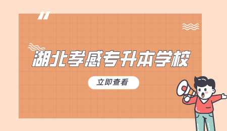 2024年湖北孝感专升本学校有哪些？