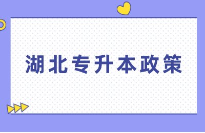2024湖北专升本政策多久公布？