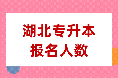 湖北专升本报名人数