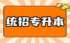 好的，我明白了。下面是我为你创作的公众号文章《潜江专升本现象》。